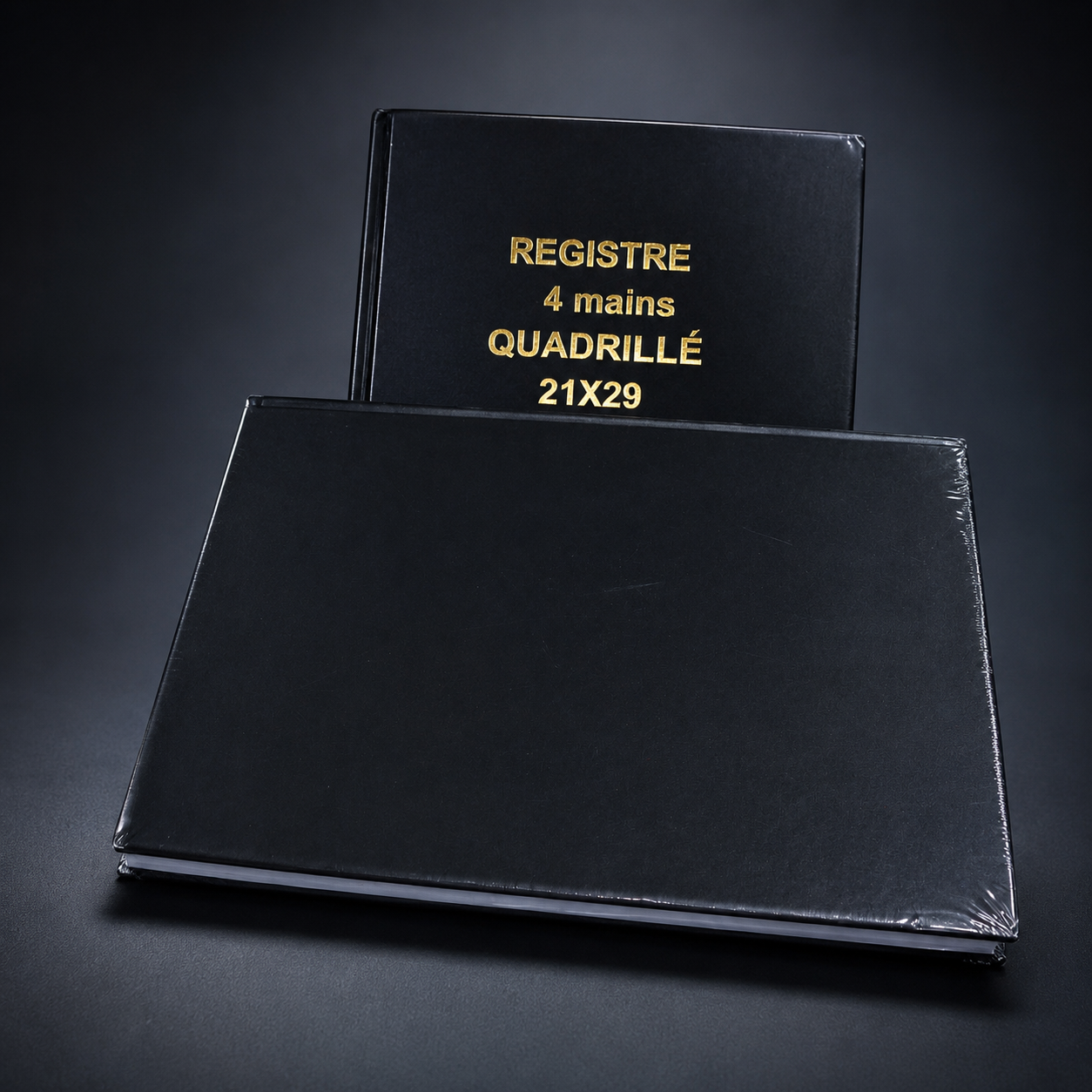 Registre quadrillé 4 mains 21 × 29 cm