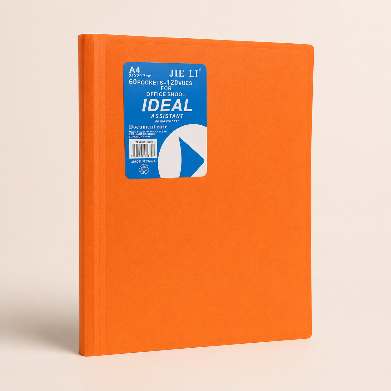 Protège-documents A4 – 60 pochettes / 120 vues