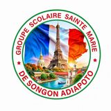 Logo GROUPE SCOLAIRE SAINTE MARIE DE SONGON